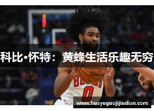 科比·怀特：黄蜂生活乐趣无穷